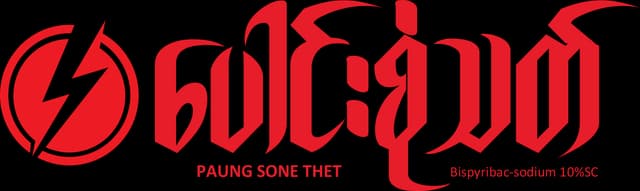 Paung Sone Thet